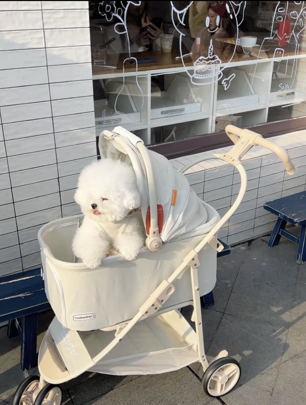 奶油風分離式寵物推車