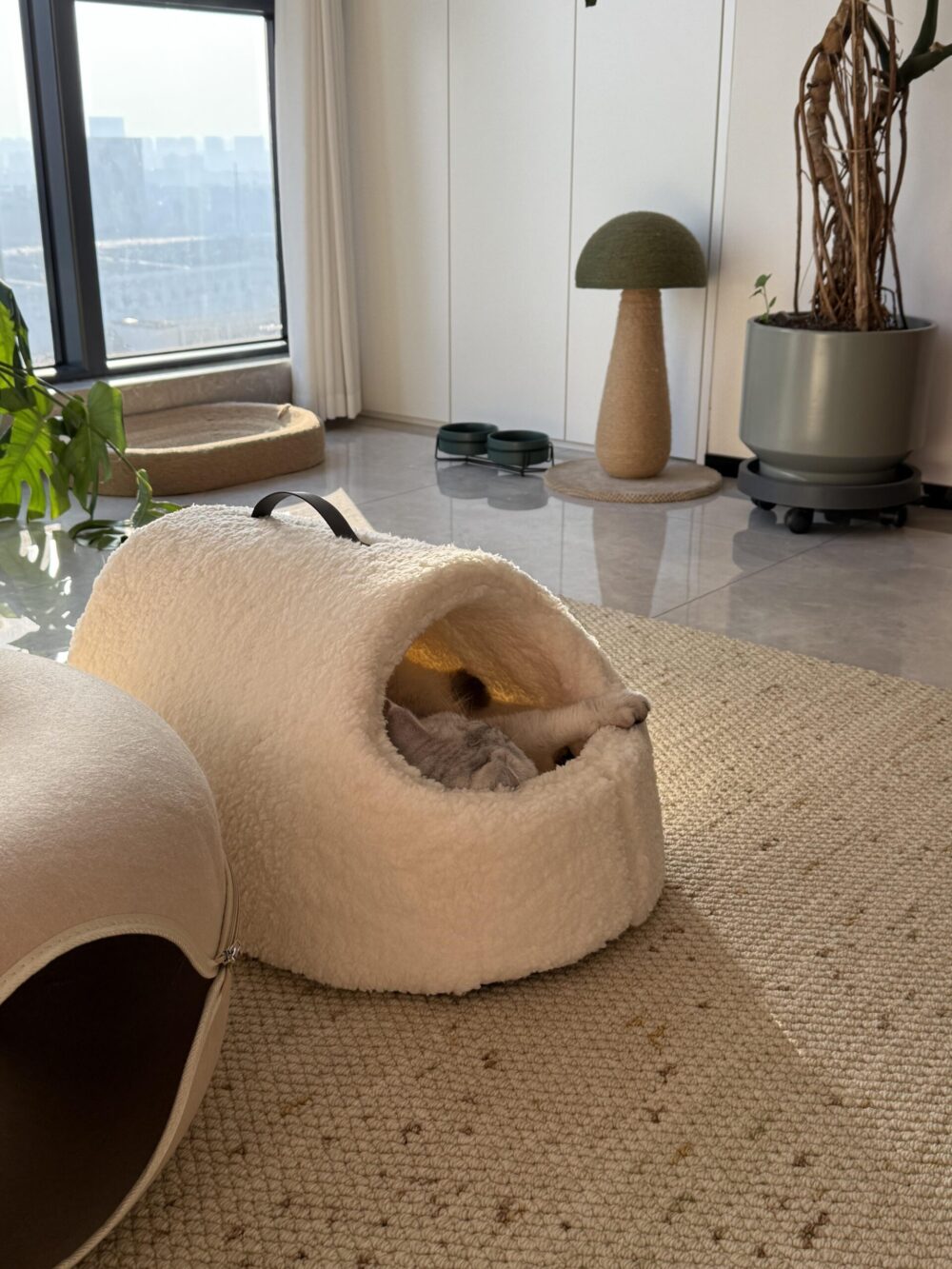 羊羔絨可提寵物窩