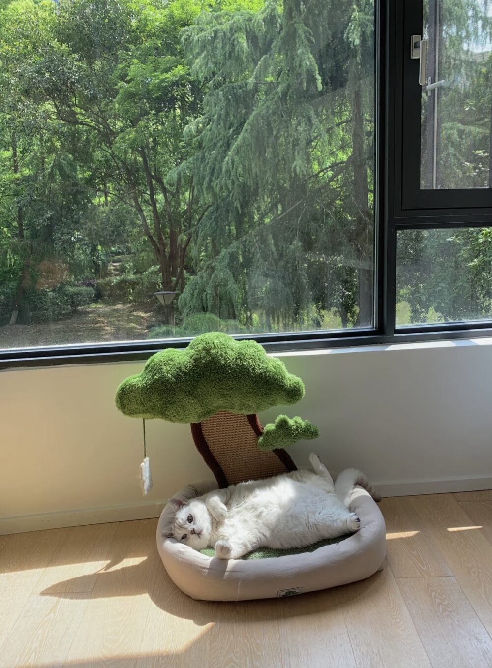 樹下青松寵物窩
