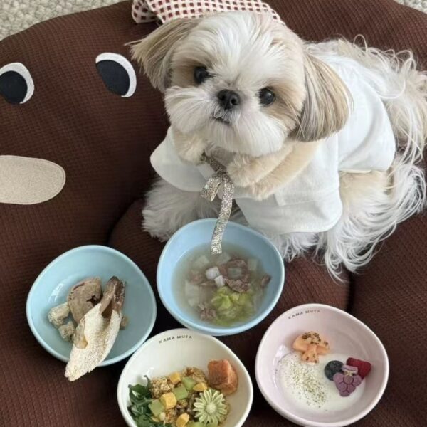 馬卡龍寵物豆莢碗
