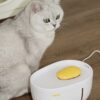 卵石自動寵物飲水機