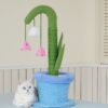 鈴蘭花盆栽貓抓柱