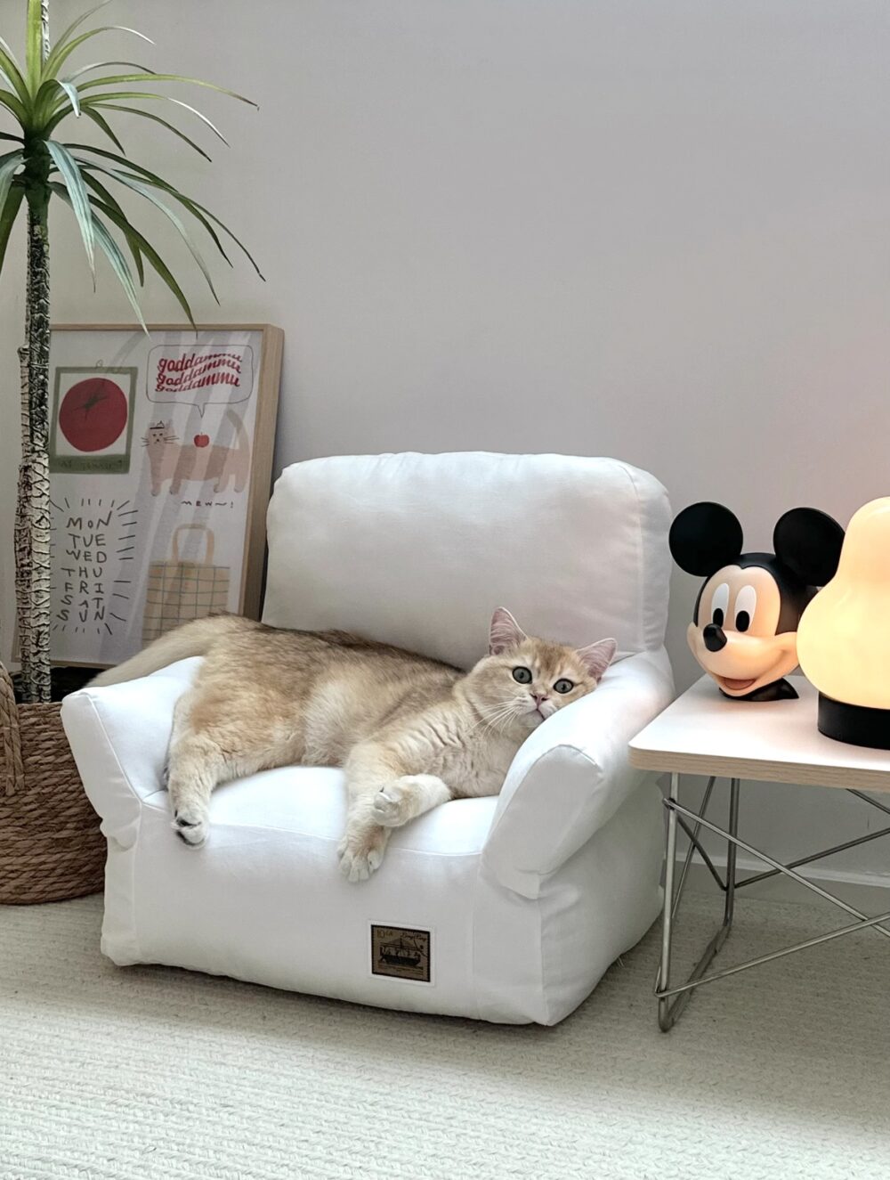 純色高級感寵物沙發