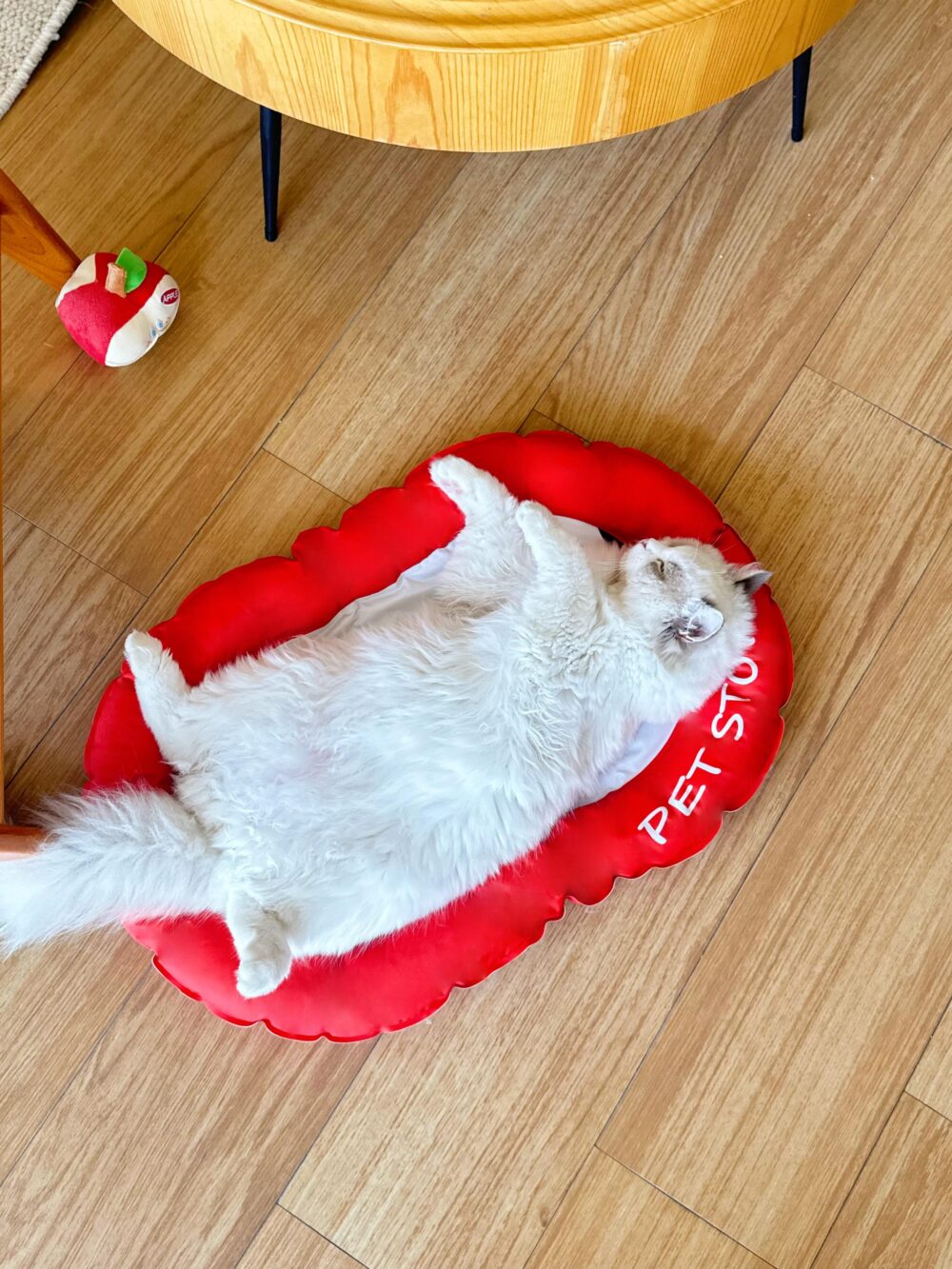 loveslife夏日寵物降溫涼墊
