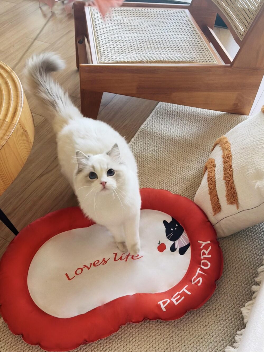 loveslife夏日寵物降溫涼墊