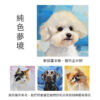 寵物客製油畫