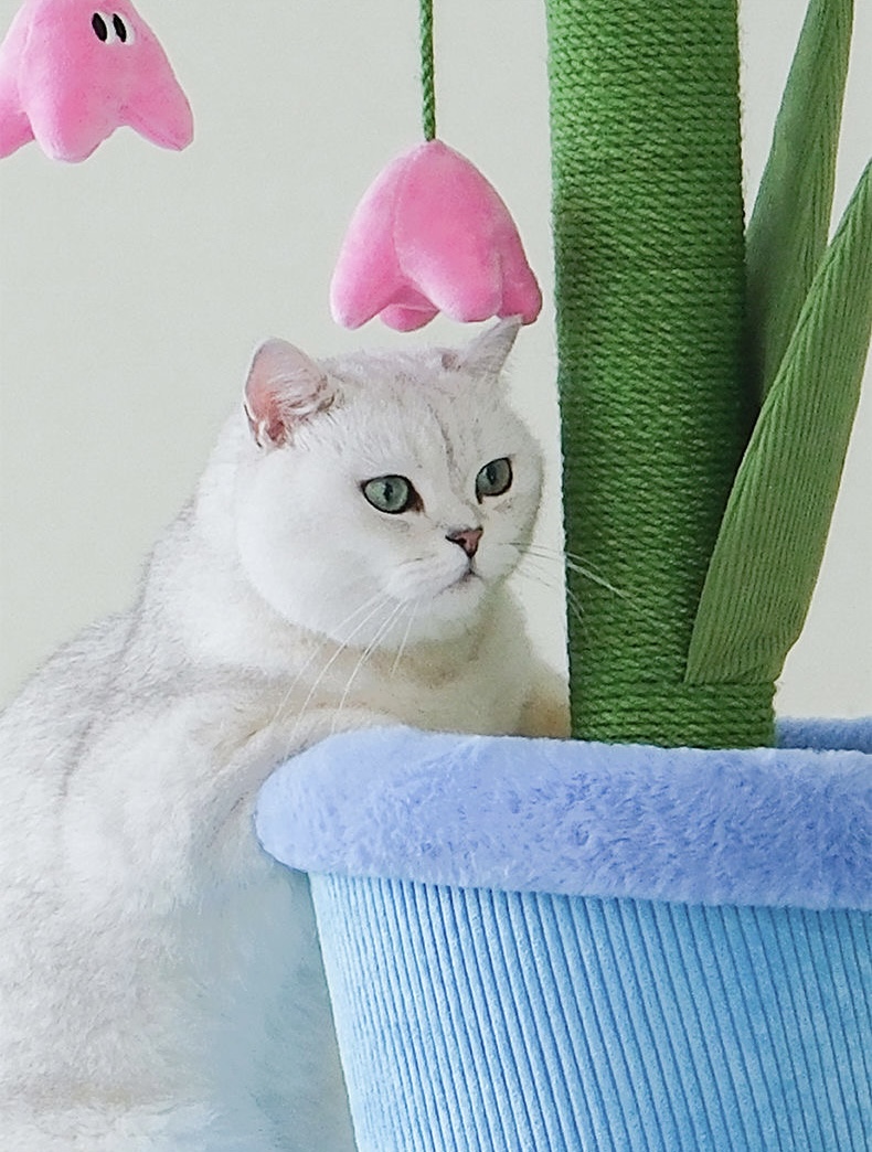 鈴蘭花盆栽貓抓柱