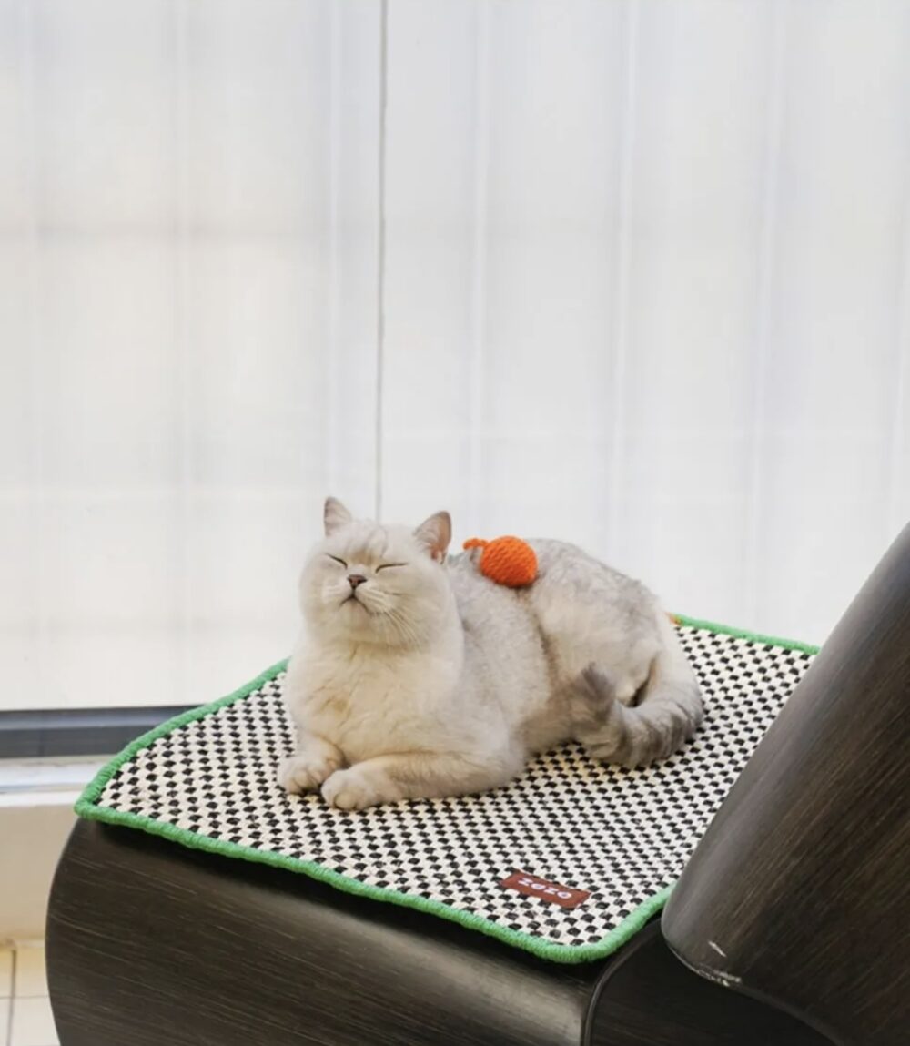 棋盤網格貓抓墊