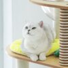 海島渡假木質貓爬架