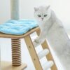 海島渡假木質貓爬架
