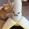 可爱香蕉猫抓柱