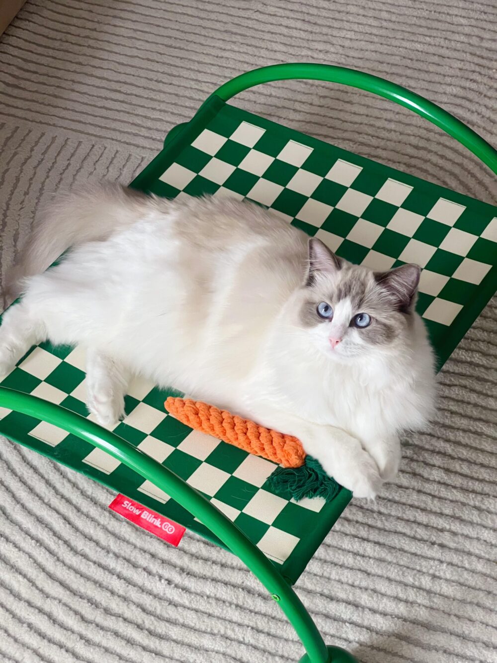 孟菲斯棋盤格寵物行軍床