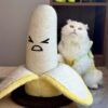 可爱香蕉猫抓柱
