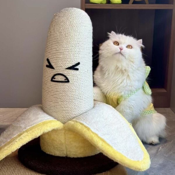 可爱香蕉猫抓柱