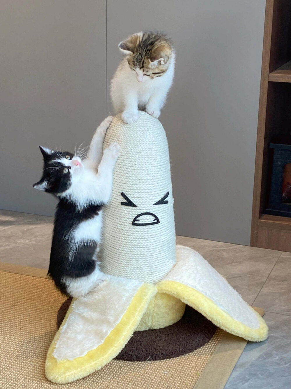 可爱香蕉猫抓柱