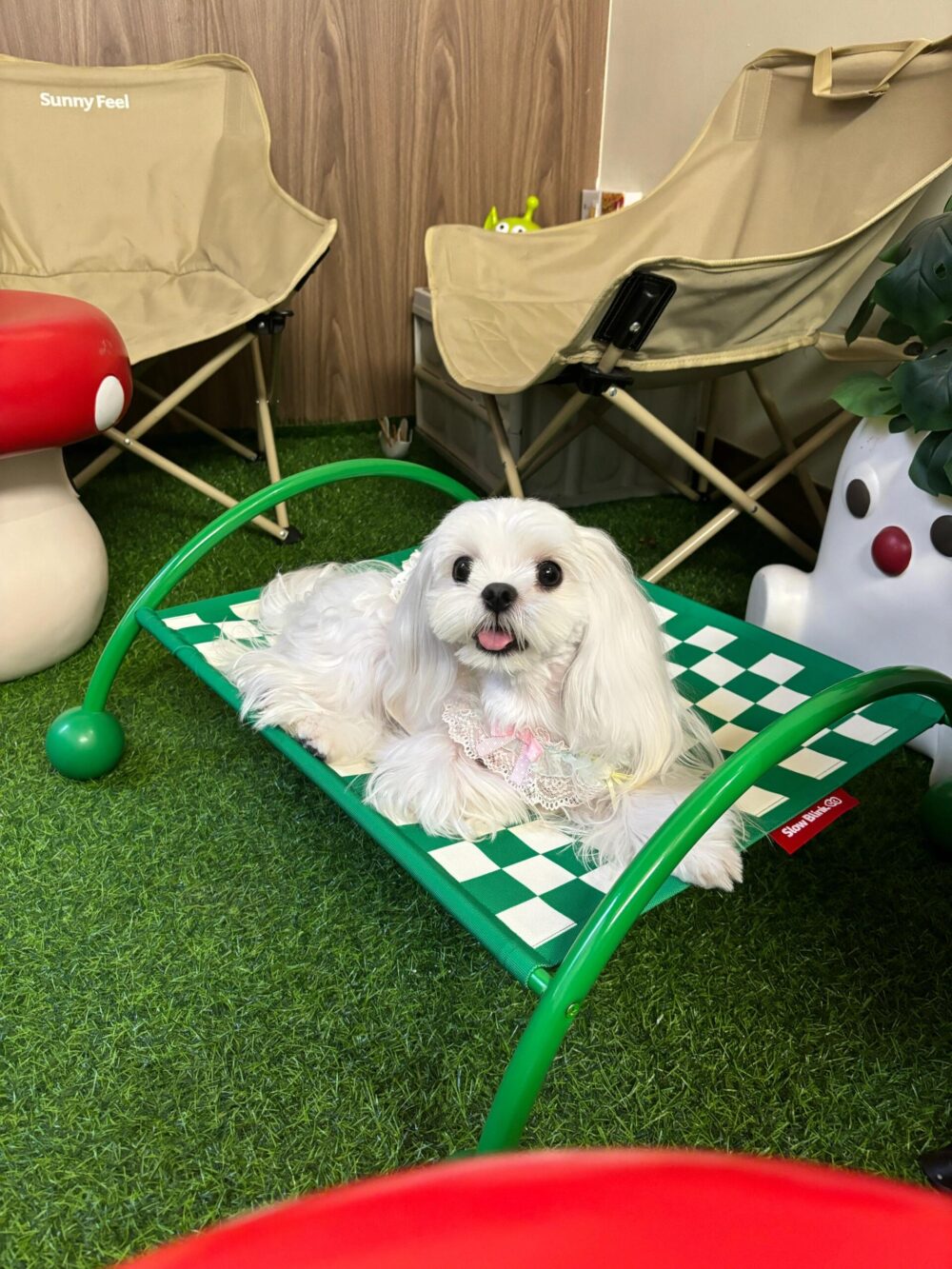孟菲斯棋盤格寵物行軍床